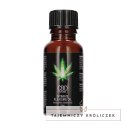 PharmQuests CBD Intimate Oil 20ml - naturalny olejek konopny do pielęgnacji Pharmquests by Shots