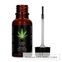 PharmQuests CBD Intimate Oil 20ml - naturalny olejek konopny do pielęgnacji Pharmquests by Shots