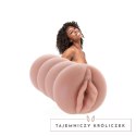 Star Strokers Misty Stone 3D - Model intymny, teksturowane wnętrze Star Strokers