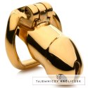 XR Brands klatka intymna stal nierdzewna 18K złoto, 2 pierścienie XR Brands