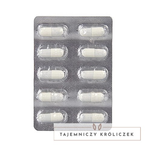 Pharmquests Shots Suplement na Witalność Męską i Ruchliwość Komorek 20 kapsułek Pharmquests by Shots