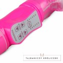 EasyToys Rabbit Pink - Wielofunkcyjny Model Z Systemem Ruchu Posuwistego Easytoys Vibe Collection