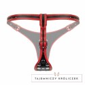Fetish Collection Triple System Intymny z 3 wkładami czarno-czerwony Easytoys Fetish Collection