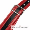 Fetish Collection Triple System Intymny z 3 wkładami czarno-czerwony Easytoys Fetish Collection