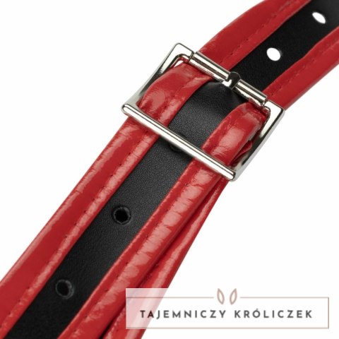 Fetish Collection Triple System Intymny z 3 wkładami czarno-czerwony Easytoys Fetish Collection