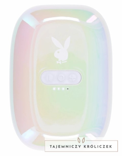 Playboy Pleasure In A Pinch - Wibrujące zaciski silikonowe z pilotem Playboy