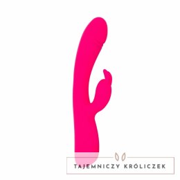 Vibe Collection Heating Rabbit rożowy - model z funkcją podgrzewania Easytoys Vibe Collection