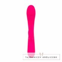 Vibe Collection Heating Rabbit rożowy - model z funkcją podgrzewania Easytoys Vibe Collection