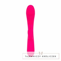 Vibe Collection Heating Rabbit rożowy - model z funkcją podgrzewania Easytoys Vibe Collection