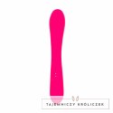 Vibe Collection Heating Rabbit rożowy - model z funkcją podgrzewania Easytoys Vibe Collection