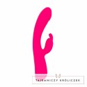 Vibe Collection Heating Rabbit rożowy - model z funkcją podgrzewania Easytoys Vibe Collection