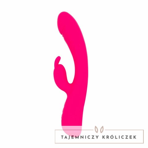 Vibe Collection Heating Rabbit rożowy - model z funkcją podgrzewania Easytoys Vibe Collection