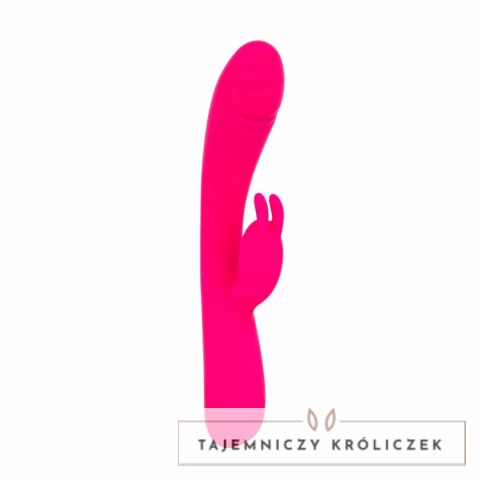Vibe Collection Heating Rabbit rożowy - model z funkcją podgrzewania Easytoys Vibe Collection