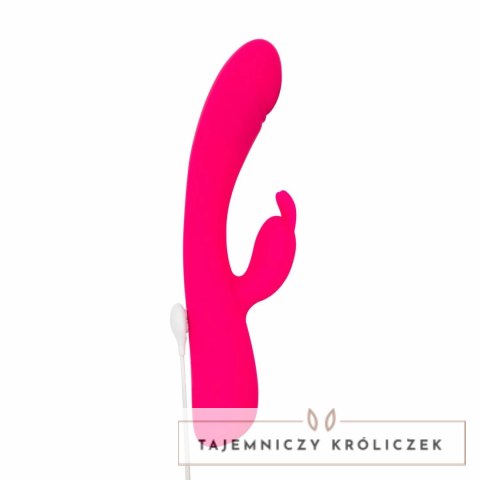 Vibe Collection Heating Rabbit rożowy - model z funkcją podgrzewania Easytoys Vibe Collection