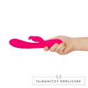 Vibe Collection Heating Rabbit rożowy - model z funkcją podgrzewania Easytoys Vibe Collection