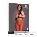 Leg Avenue Shimmering Cut-Out Tights Plus Size czerwone ze złotym brokatem Le Désir by Shots