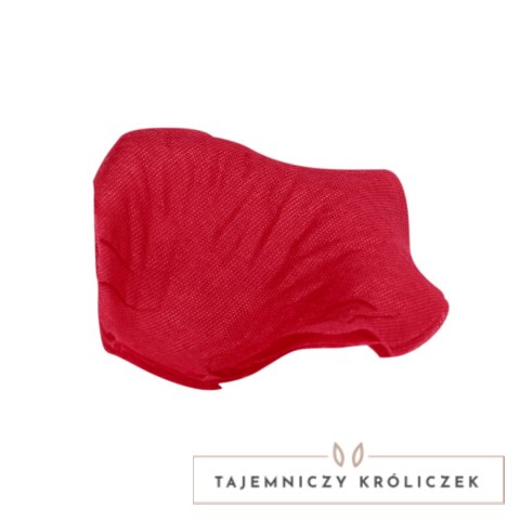 LoversPremium Płatki Roż w Organza Bag Bordowe Dekoracyjne Le Désir by Shots