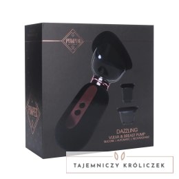 Shots Dazzling - Wielofunkcyjny zestaw prożniowy USB czarny Pumped by Shots