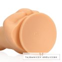 Shots Up Yours dekoracyjny model anatomiczny Flesh 17 cm S-Line by Shots