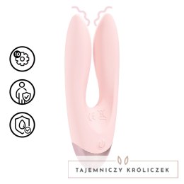 Loveline Amour Paris Dual Motor System Rożowy Silikonowy Loveline by Shots