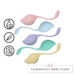 Loveline Pelvic Stem Kegel Kit zestaw kulek do ćwiczeń mięśni, 5 szt. Multicolor Loveline by Shots