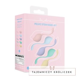 Loveline Pelvic Stem Kegel Kit zestaw kulek do ćwiczeń mięśni, 5 szt. Multicolor Loveline by Shots