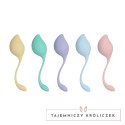 Loveline Pelvic Stem Kegel Kit zestaw kulek do ćwiczeń mięśni, 5 szt. Multicolor Loveline by Shots