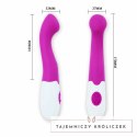 Pretty Love Charles masażer wielofunkcyjny 30 trybow liliowy 18cm PRETTY LOVE FLIRTATION