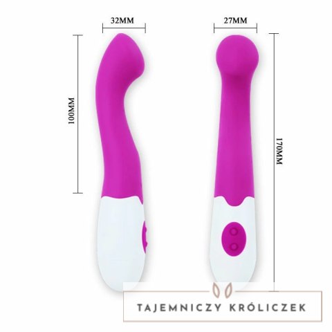 Pretty Love Charles masażer wielofunkcyjny 30 trybow liliowy 18cm PRETTY LOVE FLIRTATION