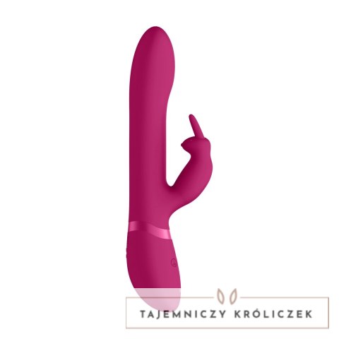 Vive Amoris - Wibrujący model z koralikami silikonowymi, fioletowy VIVE by Shots