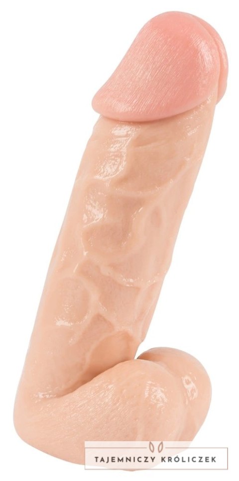 You2Toys model anatomiczny z podstawą, skora, 20,5 cm You2Toys