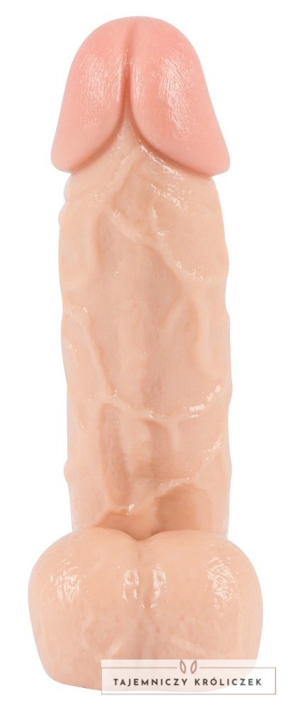 You2Toys model anatomiczny z podstawą, skora, 20,5 cm You2Toys