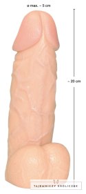 You2Toys model anatomiczny z podstawą, skora, 20,5 cm You2Toys