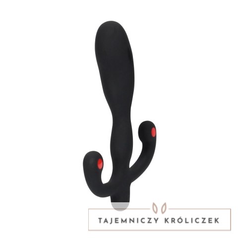 Aneros Helix Syn V - wibrujący masażer punktu P, silikonowy, USB Aneros