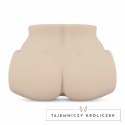 Friend with Benefits Evelyn Harris model wibrujący silikonowy, 7 trybow Friend with Benefits