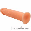 Baile Vive model 19,8 cm naturalny - elastyczny system z przyssawką BAILE