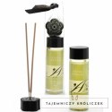 Extase Sensual Olejek do masażu rozgrzewający z feromonami Mojito 100ml EXTASE SENSUEL