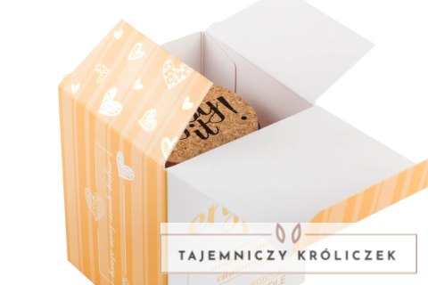 Magnetifico Enjoy It! Świeca Masująca z Feromonami Pomarańcza-Cynamon 70ml Magnetifico