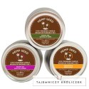 Earthly Body Candle Trio zestaw świec do masażu 3x57g zapachowe Earthly body