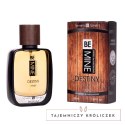 Lovely Lovers DESTINY MAN I-L-Molecules Perfumy z feromonami 50ml Lovely Lovers