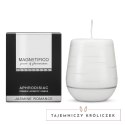 MAGNETIFICO Jasmine Romance świeca zapachowa z nutą jaśminu 36h Magnetifico