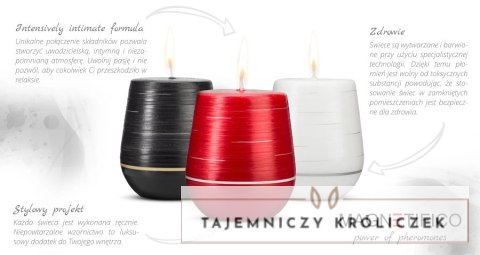MAGNETIFICO Jasmine Romance świeca zapachowa z nutą jaśminu 36h Magnetifico