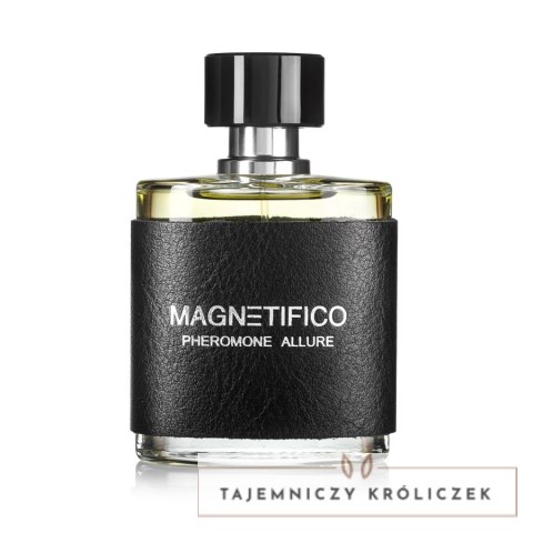 MAGNETIFICO Pheromone Allure 50ml - Męska woda perfumowana, drzewno-cytrusowa Magnetifico