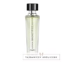 MAGNETIFICO Pheromone Seduction EdP 30ml - męski cytrusowo-drzewny zapach Magnetifico