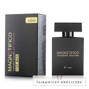 MAGNETIFICO Pheromone Selection 100ml - perfumy męskie z nutą drzewną Magnetifico