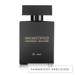 MAGNETIFICO Pheromone Selection 100ml - perfumy męskie z nutą drzewną Magnetifico