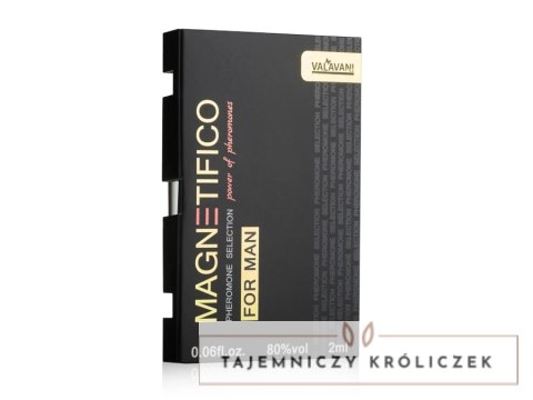 MAGNETIFICO Pheromone Selection 2ml - Męska woda perfumowana z nutą drzewną Magnetifico