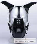 XR Brands Pup Mask z Regulowaną Maską i Przepuszczalnym Ustnikiem XR Brands