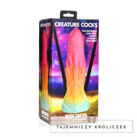 XR Brands Shape Shifter silikonowy model anatomiczny z przyssawką tęczowy XR Brands