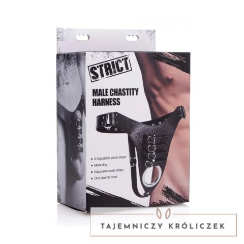 XR Brands - Uprząż męska z regulacją, metalowy pierścień, czarna XR Brands